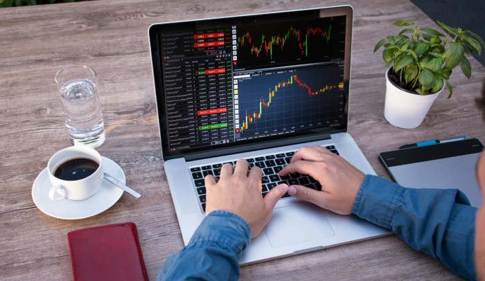 Financial Analysis Free Stock Photo - Public Domain Pictures Financial Analysis Free Stock Photo - Public Domain Pictures
